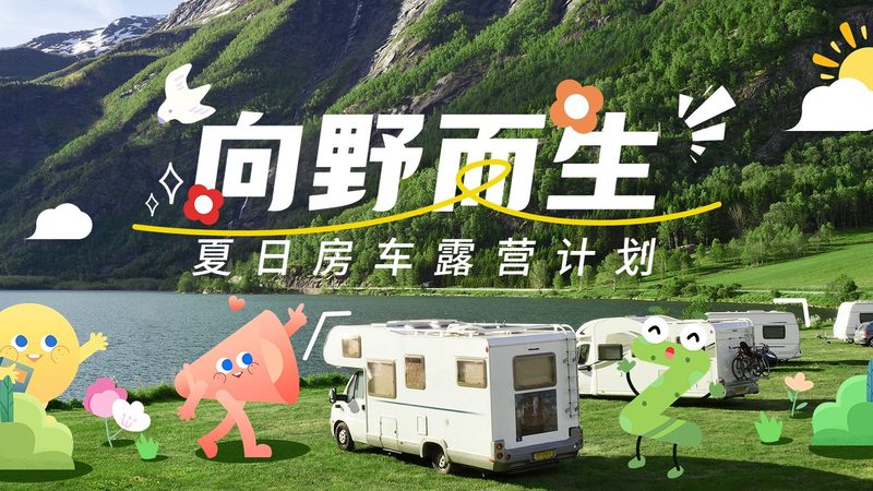 小标题：一、了解民宿行业现状